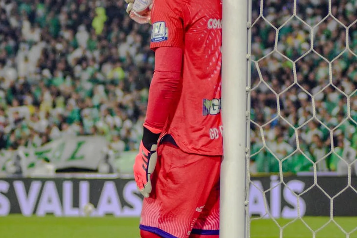 Arsenal Fan Clubs Global Network Complete Guide