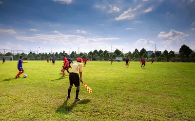 Arsenal Fan Tifo History Creative Displays