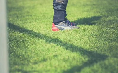 Arsenal Financial Fair Play Situation Explained