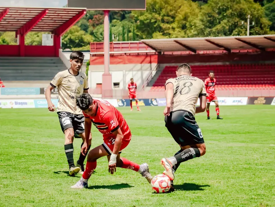 The Highbury Dispatch: A Case Study in Fan Media Evolution